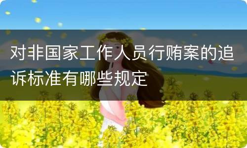 对非国家工作人员行贿案的追诉标准有哪些规定