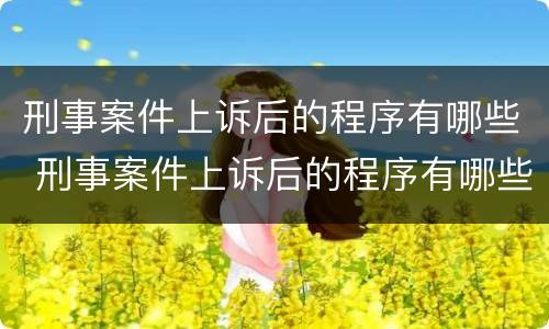 刑事案件上诉后的程序有哪些 刑事案件上诉后的程序有哪些流程