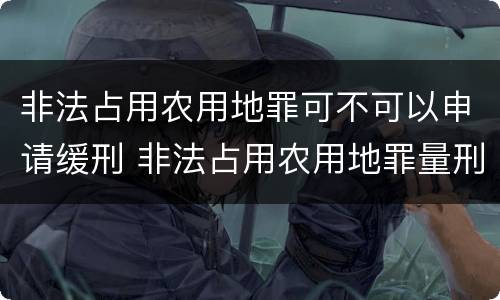 非法占用农用地罪可不可以申请缓刑 非法占用农用地罪量刑