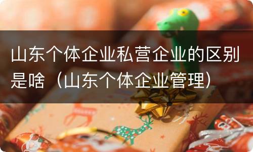 山东个体企业私营企业的区别是啥（山东个体企业管理）