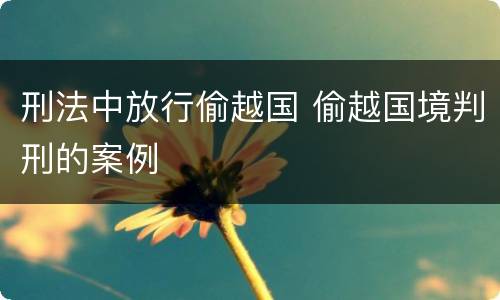 刑法中放行偷越国 偷越国境判刑的案例