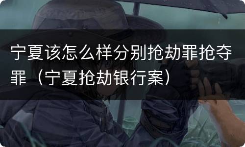 宁夏该怎么样分别抢劫罪抢夺罪（宁夏抢劫银行案）
