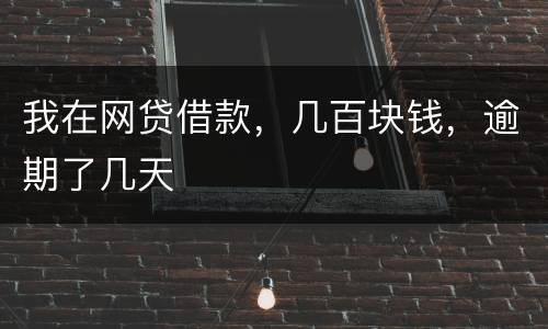 我在网贷借款，几百块钱，逾期了几天