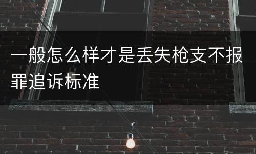 一般怎么样才是丢失枪支不报罪追诉标准