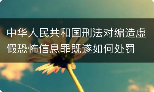 中华人民共和国刑法对编造虚假恐怖信息罪既遂如何处罚