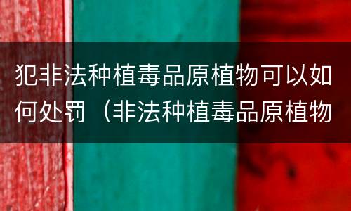 犯非法种植毒品原植物可以如何处罚（非法种植毒品原植物的处罚）