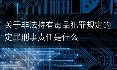关于非法持有毒品犯罪规定的定罪刑事责任是什么