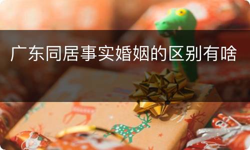 广东同居事实婚姻的区别有啥