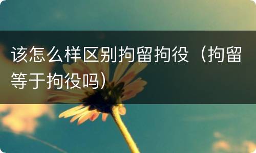 该怎么样区别拘留拘役（拘留等于拘役吗）