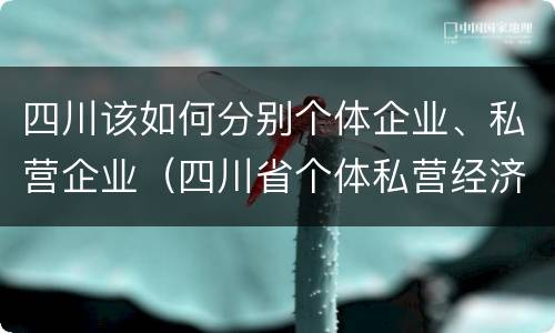 四川该如何分别个体企业、私营企业（四川省个体私营经济协会）
