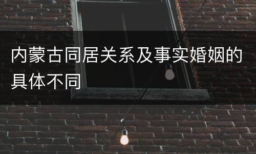 内蒙古同居关系及事实婚姻的具体不同