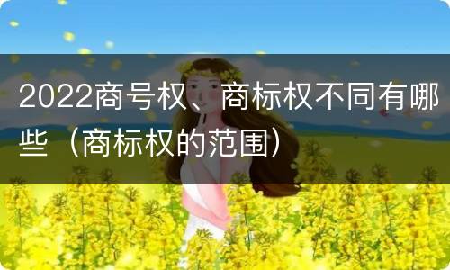 2022商号权、商标权不同有哪些（商标权的范围）