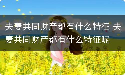 夫妻共同财产都有什么特征 夫妻共同财产都有什么特征呢