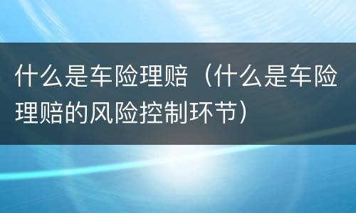 什么是车险理赔（什么是车险理赔的风险控制环节）