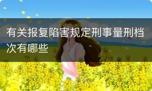 有关报复陷害规定刑事量刑档次有哪些
