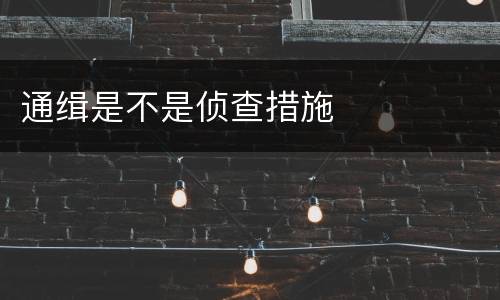通缉是不是侦查措施