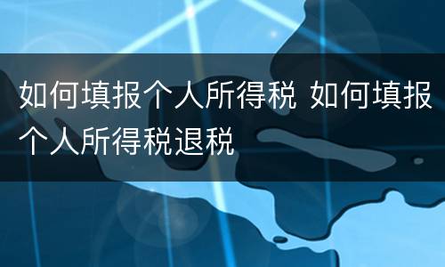 如何填报个人所得税 如何填报个人所得税退税