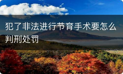 犯了非法进行节育手术要怎么判刑处罚