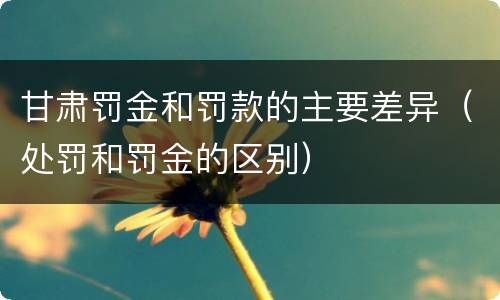 甘肃罚金和罚款的主要差异（处罚和罚金的区别）