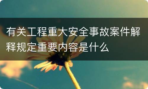 有关工程重大安全事故案件解释规定重要内容是什么