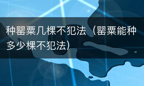 种罂粟几棵不犯法（罂粟能种多少棵不犯法）