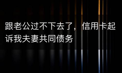 跟老公过不下去了，信用卡起诉我夫妻共同债务