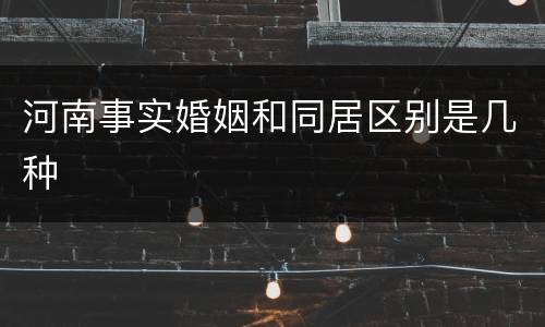 河南事实婚姻和同居区别是几种
