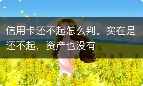 信用卡还不起怎么判。实在是还不起，资产也没有