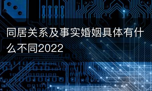 同居关系及事实婚姻具体有什么不同2022