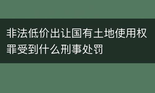 非法低价出让国有土地使用权罪受到什么刑事处罚