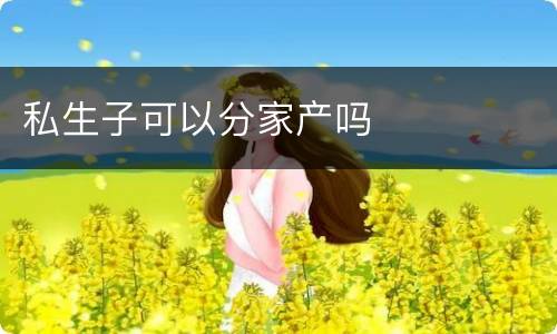 私生子可以分家产吗