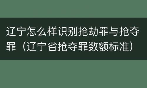 辽宁怎么样识别抢劫罪与抢夺罪（辽宁省抢夺罪数额标准）