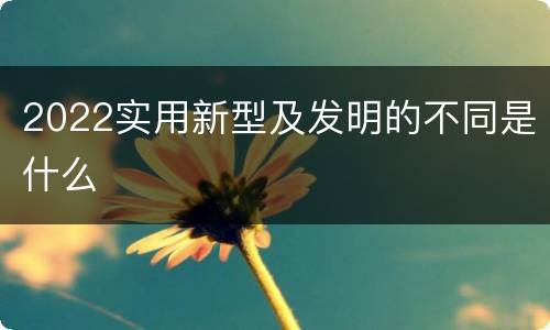 2022实用新型及发明的不同是什么