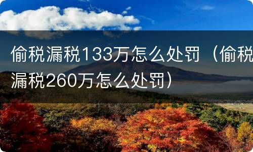 偷税漏税133万怎么处罚（偷税漏税260万怎么处罚）