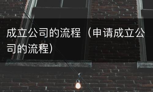 成立公司的流程（申请成立公司的流程）