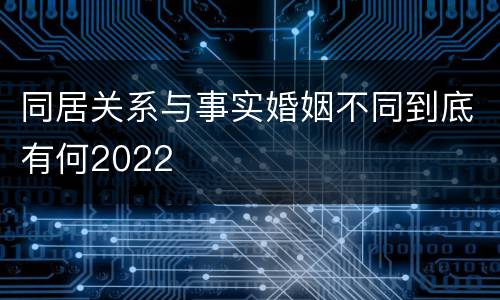 同居关系与事实婚姻不同到底有何2022