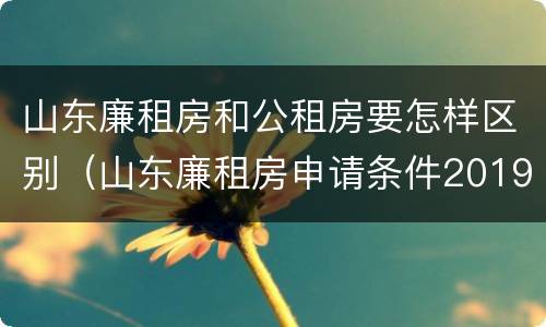 山东廉租房和公租房要怎样区别（山东廉租房申请条件2019）