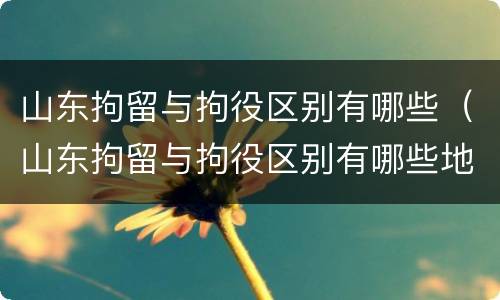 山东拘留与拘役区别有哪些（山东拘留与拘役区别有哪些地方）