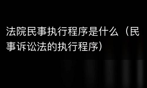 法院民事执行程序是什么（民事诉讼法的执行程序）