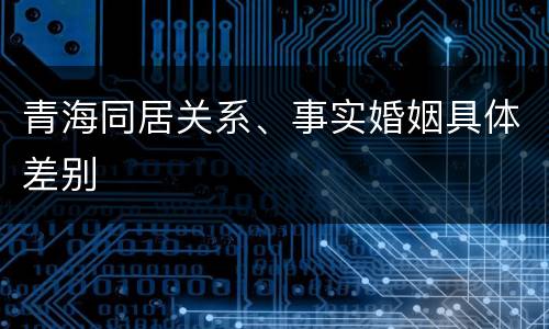 青海同居关系、事实婚姻具体差别