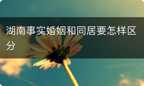 湖南事实婚姻和同居要怎样区分