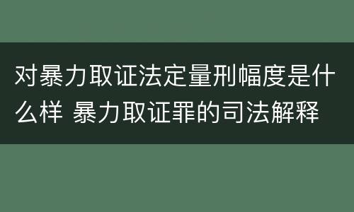 对暴力取证法定量刑幅度是什么样 暴力取证罪的司法解释