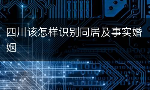 四川该怎样识别同居及事实婚姻