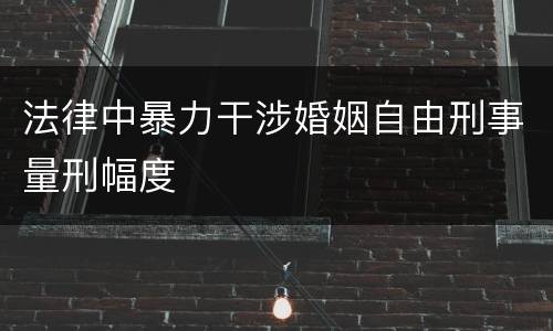 法律中暴力干涉婚姻自由刑事量刑幅度
