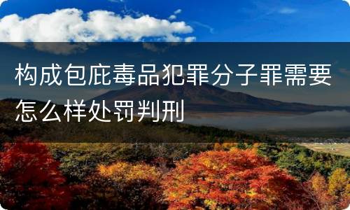 构成包庇毒品犯罪分子罪需要怎么样处罚判刑