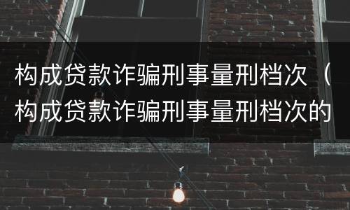 构成贷款诈骗刑事量刑档次（构成贷款诈骗刑事量刑档次的标准）