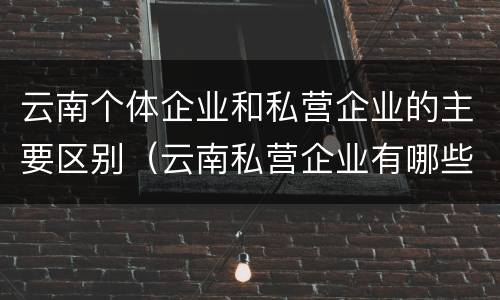 云南个体企业和私营企业的主要区别（云南私营企业有哪些）