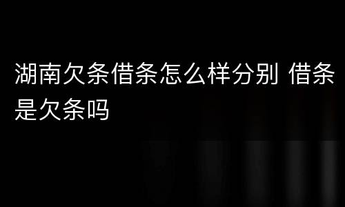 湖南欠条借条怎么样分别 借条是欠条吗