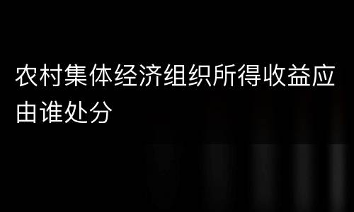 农村集体经济组织所得收益应由谁处分