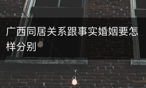 广西同居关系跟事实婚姻要怎样分别